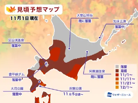北海道賞楓時間預測