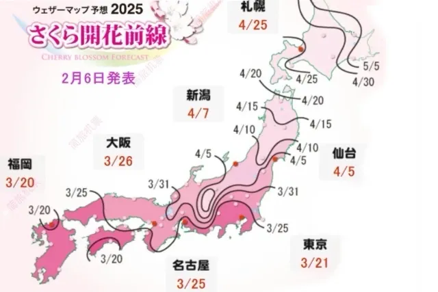 櫻花預測圖
