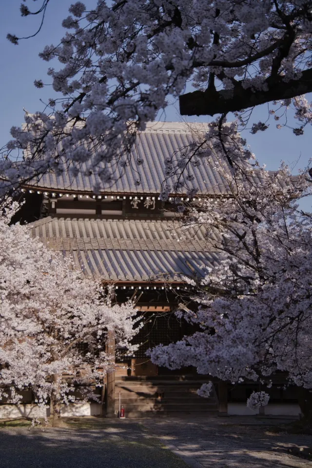 立本寺