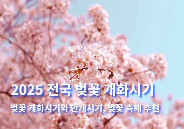 2025 전국 벚꽃