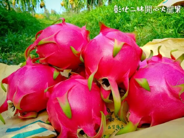 採果體驗