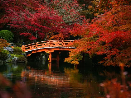 【紅葉 スポット2026】全国の紅葉名所・おすすめスポット｜紅葉見頃・時期・絶景スポットまで紹介