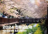 2024 진해군항제 기본정보부터 숙소 추천까지 