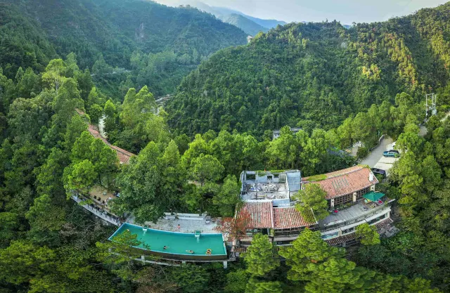 1樹上湯泉