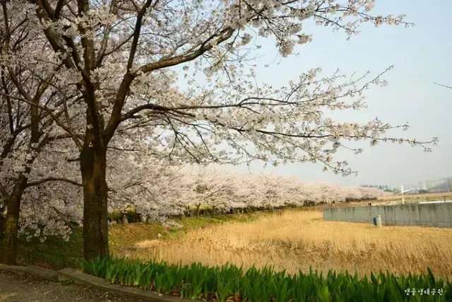 สวนนิเวศวิทยาชีฮึงเกโกล