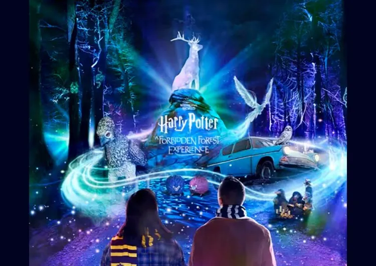 Harry Potter: A Forbidden Forest Experience