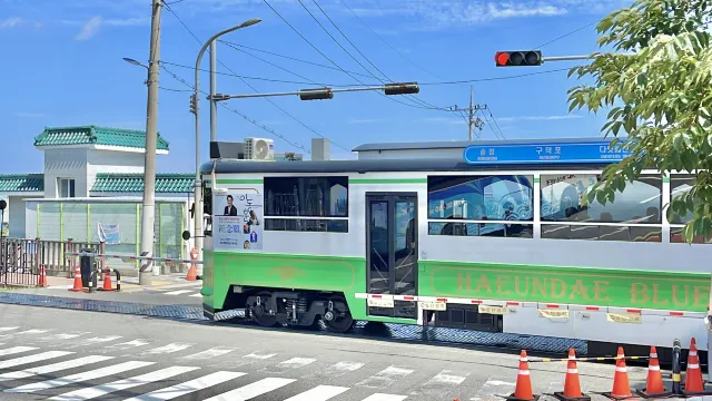 부산 불꽃축제 가볼만한 곳