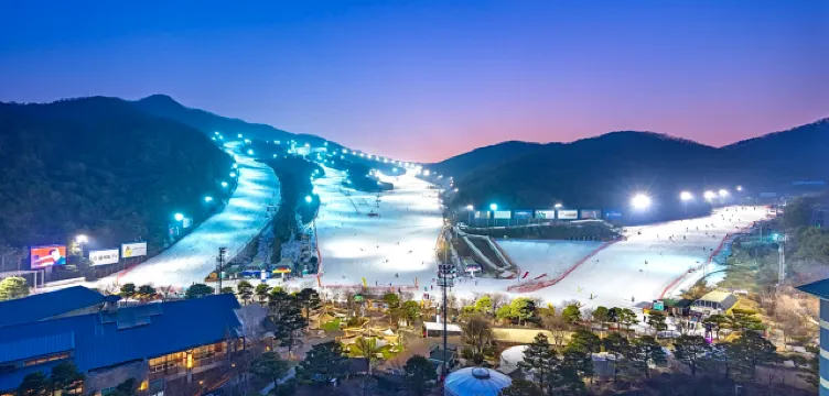 곤지암리조트 스키장