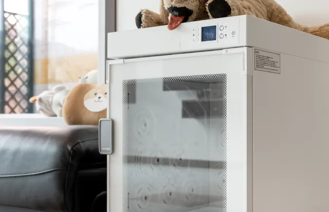 가평 워크스테이 애견동반 펜션