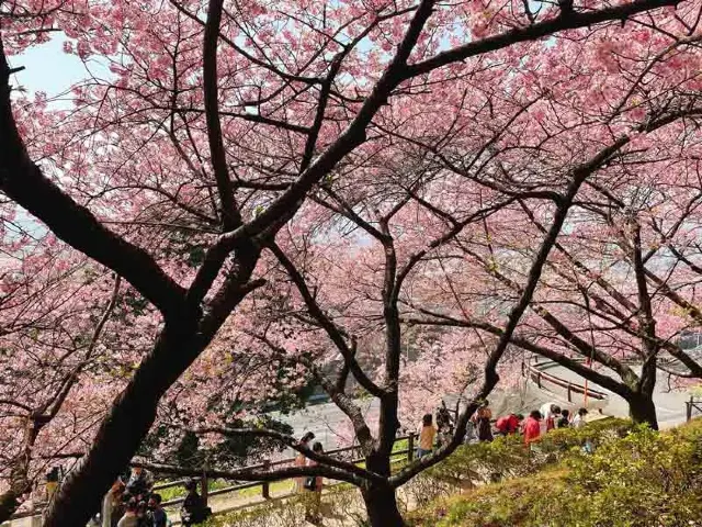 河津町