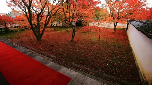 妙覚寺