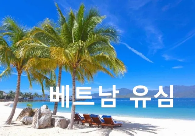 베트남 유심