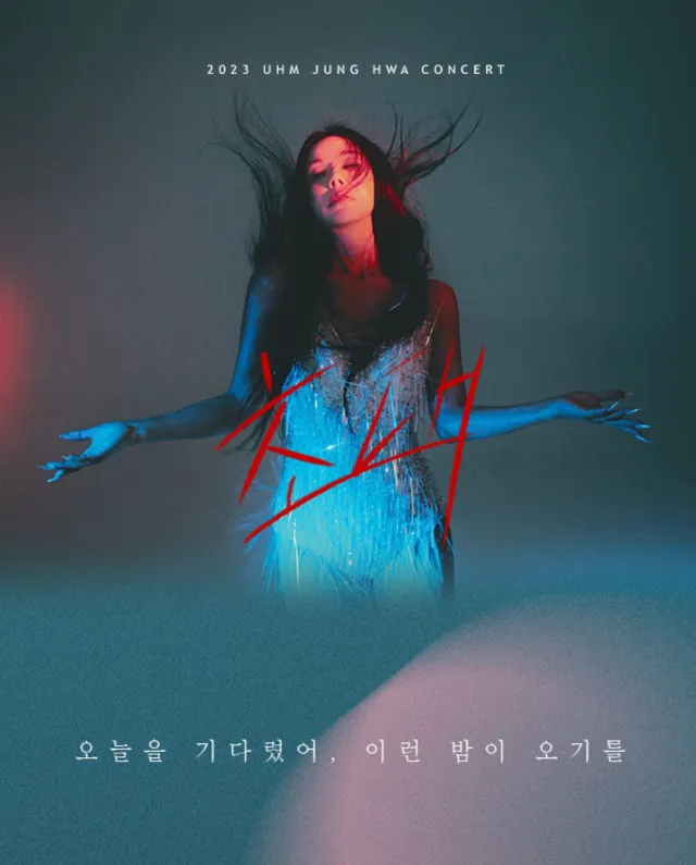 연말 콘서트  엄정화 콘서트