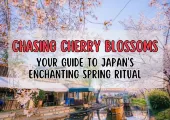 Chasing Cherry Blossoms: Your Guide to Japan's Enchanting Spring Ritual