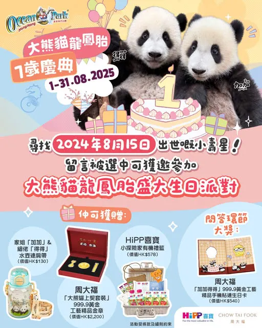 大熊貓龍鳳胎盛大生日派對