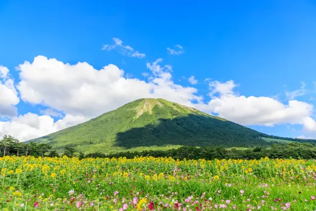 요나고 여행 요나고 날씨