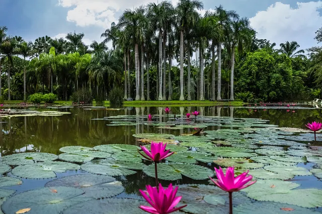 xishuangbanna china tropical botanical garden