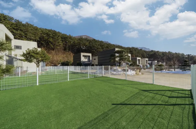 포천 애견 풀빌라 추천