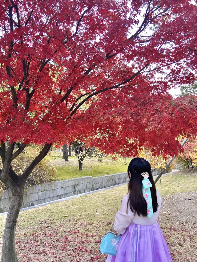 가을 여행 서울 가볼만한 곳
