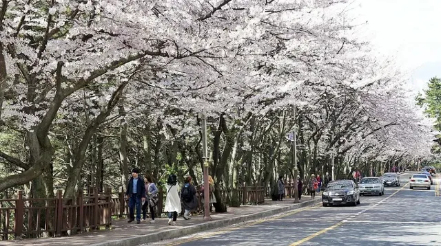 海雲台迎月路