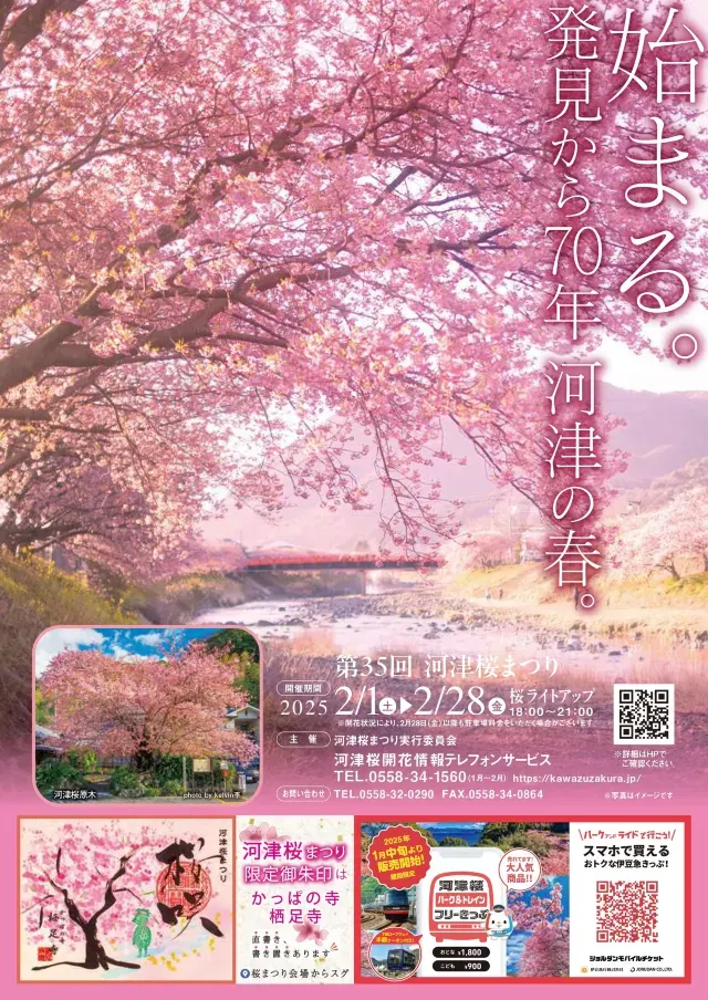 河津桜まつり2025】開花予想、桜の名所、注意点など、2月の東京近郊の