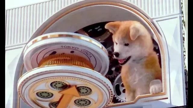 渋谷3D秋田犬&新宿3Dキャット