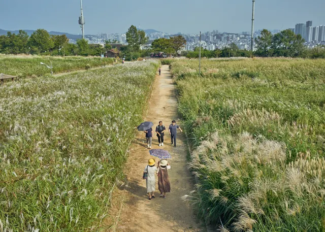 고백데이 데이트코스 하늘공원