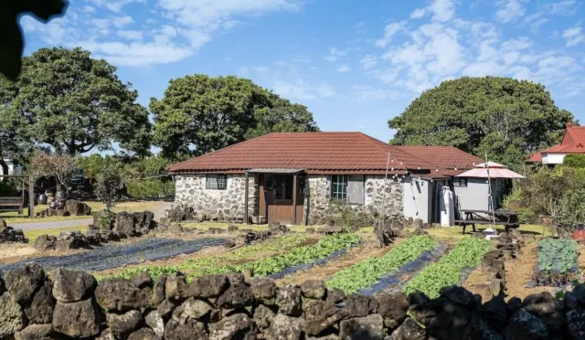 제주도 촌캉스 숙소 추천