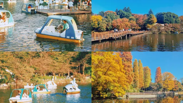 吉祥寺景點3#| 井之頭公園