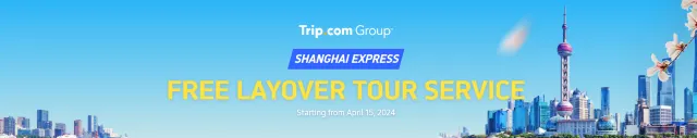 2025 Guide to Shanghai Pudong Airport: Transit Visa & PVG Airport Shuttle