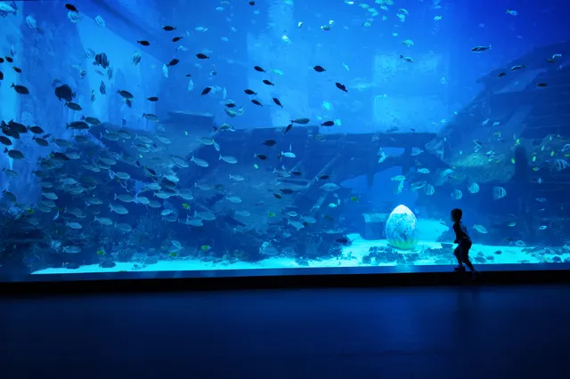 1mj2012000jdoozp8F0F0.jpg