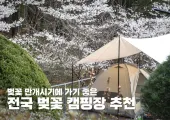 2025 벚꽃 만개시기에 가기 좋은 전국 벚꽃 캠핑장 추천 
