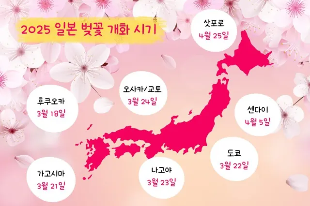 일본 벚꽃 개화시기&만개시기