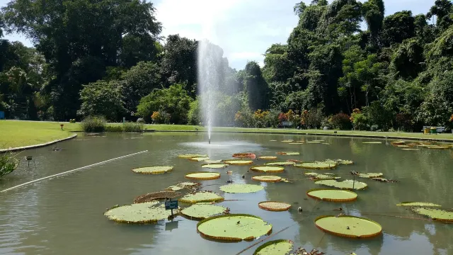 kebun raya bogor photo