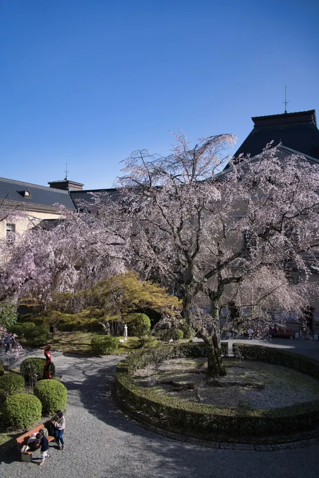 京都府庁旧本館