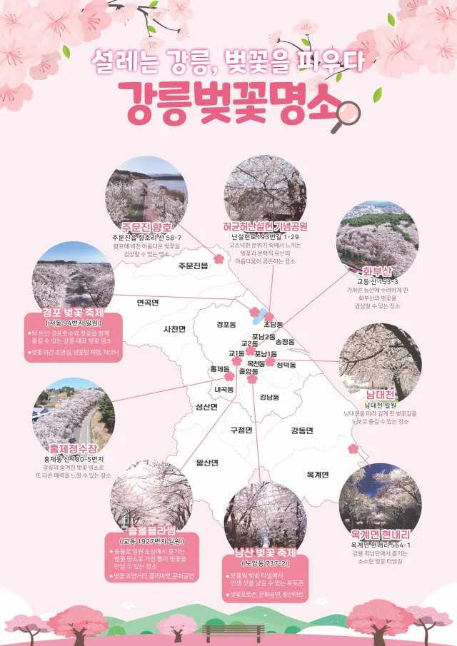 벚꽃핑 명소