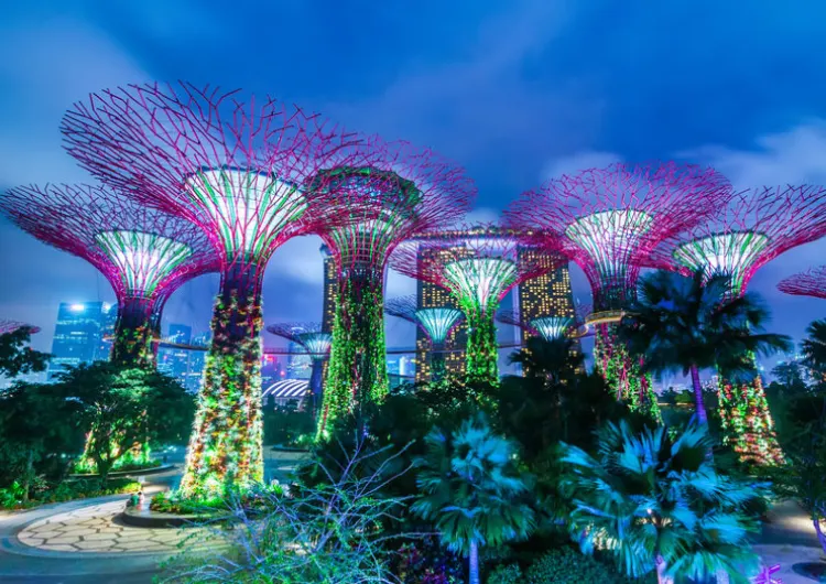 【2025新加坡入境】自動入境通關!最新入境新加坡規定!