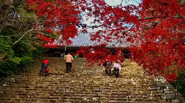 神護寺