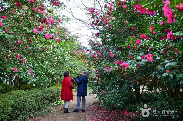 여자 혼자 여행하기 좋은 곳 제주
