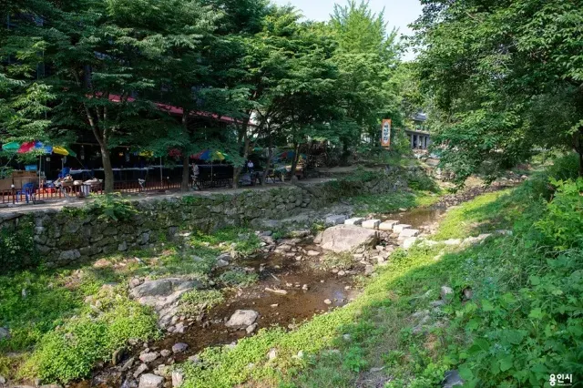 고기리 계곡