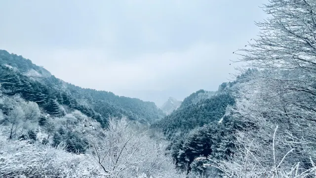 겨울 강원도 여행