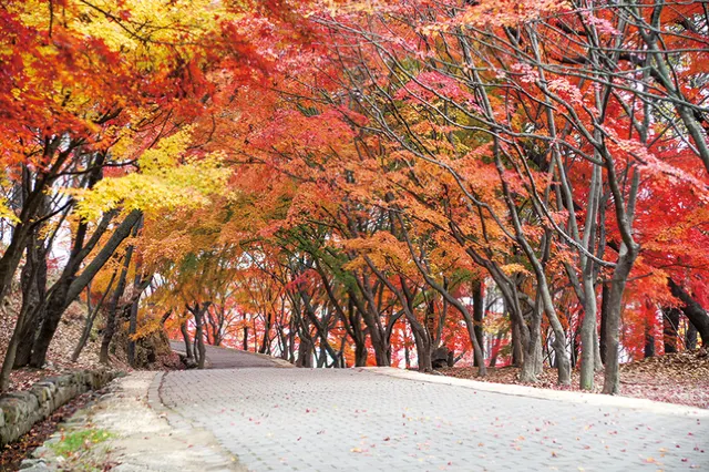 국내 여행지 추천, 부여