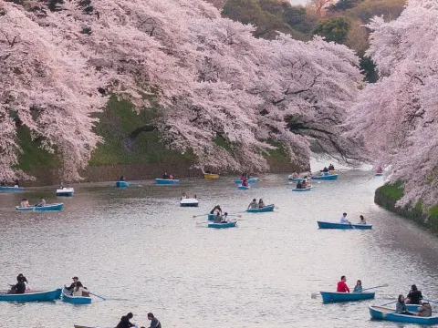お花見 桜名所のおすすめ 東北地方 トリップドットコム お花見 桜名所のおすすめ 東北地方 トリップドットコム