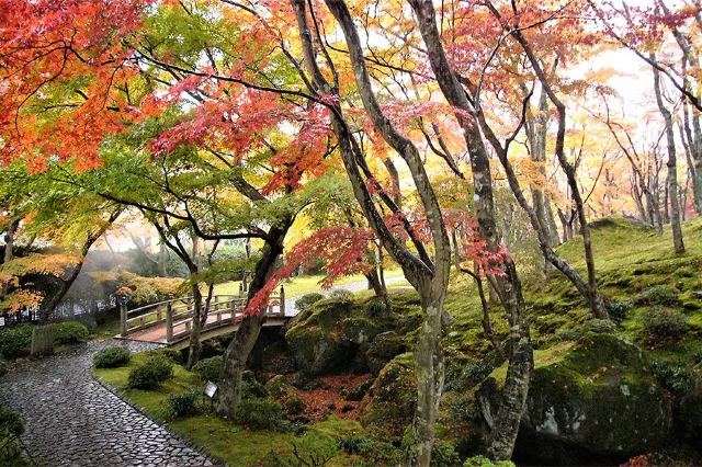 関東紅葉2025
