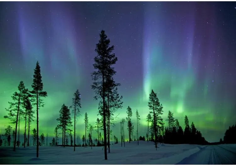 Northen Lights in Alaska: 4 Places to Get the Best Photos & Travel Around Alaska in Winter (Updated 2024)