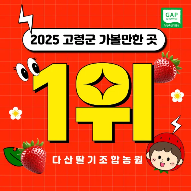 고령 딸기 농장 체험