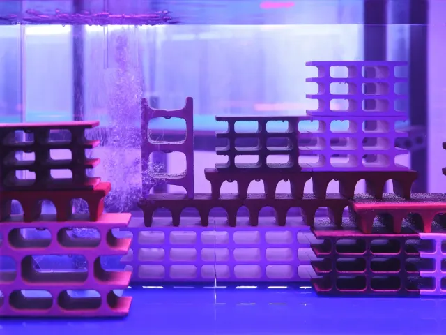 M+《楊沛铿:別離庭》