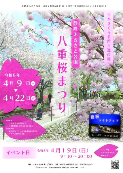 日本八重櫻祭