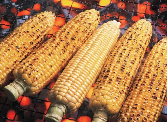 jagung bakar photo