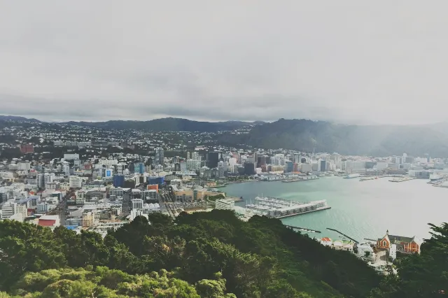 웰링턴 날씨